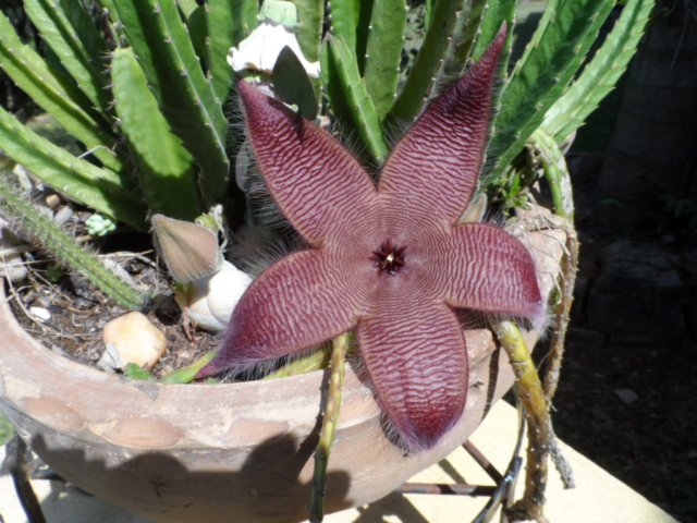 verregneter Ostersamstag