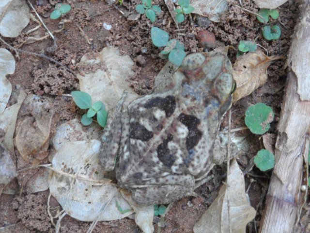 verregneter Ostersamstag