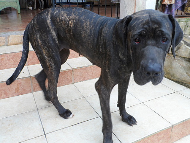 lange nichts geschrieben