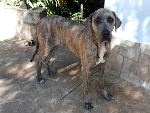 lange nichts geschrieben