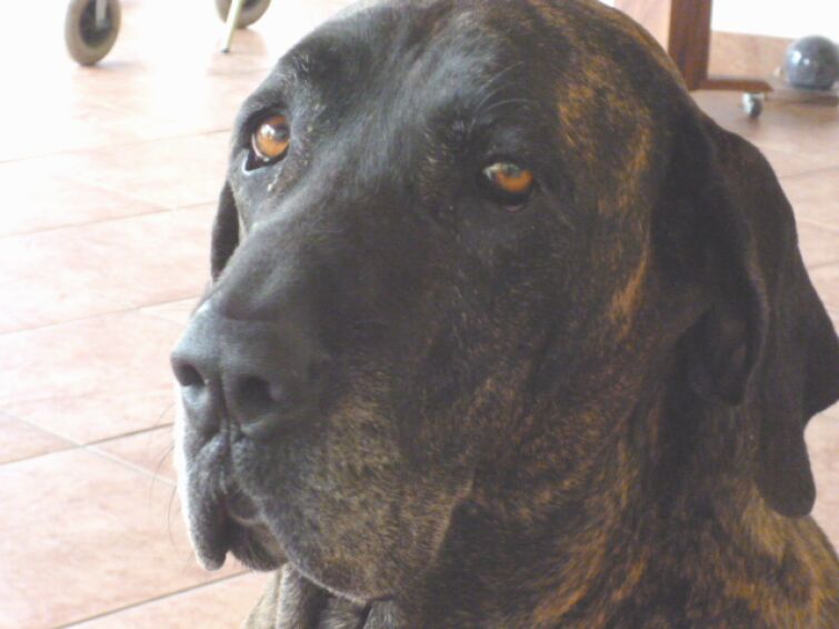 lange nichts geschrieben