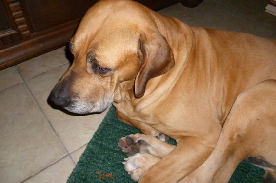 lange nichts geschrieben