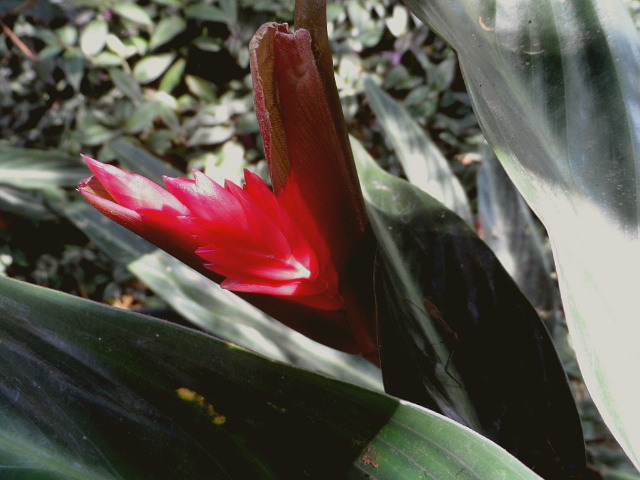 Ich nenne es Herbstfrühling