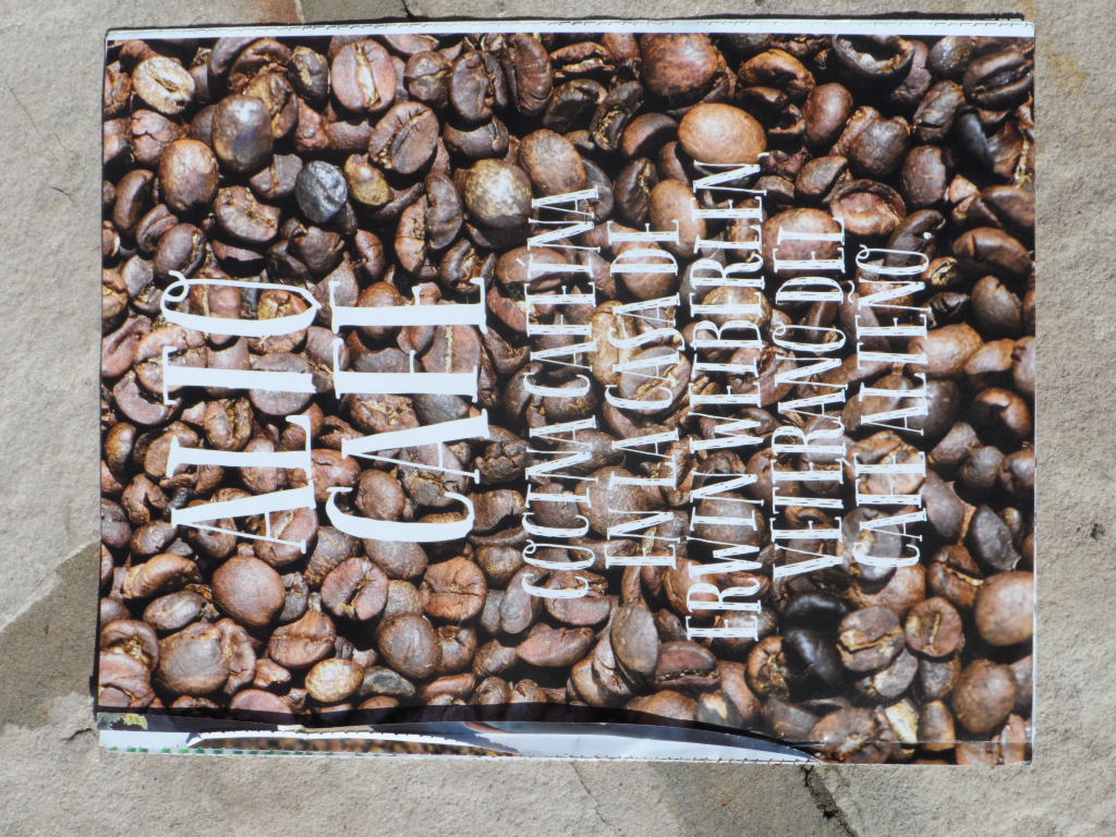 Kaffee aus Altos III