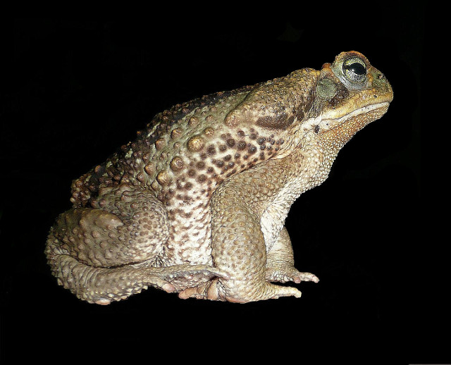 Warm und Wärmer in Paraguay