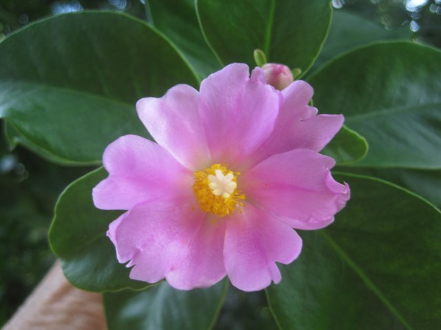 Warm und Wärmer in Paraguay