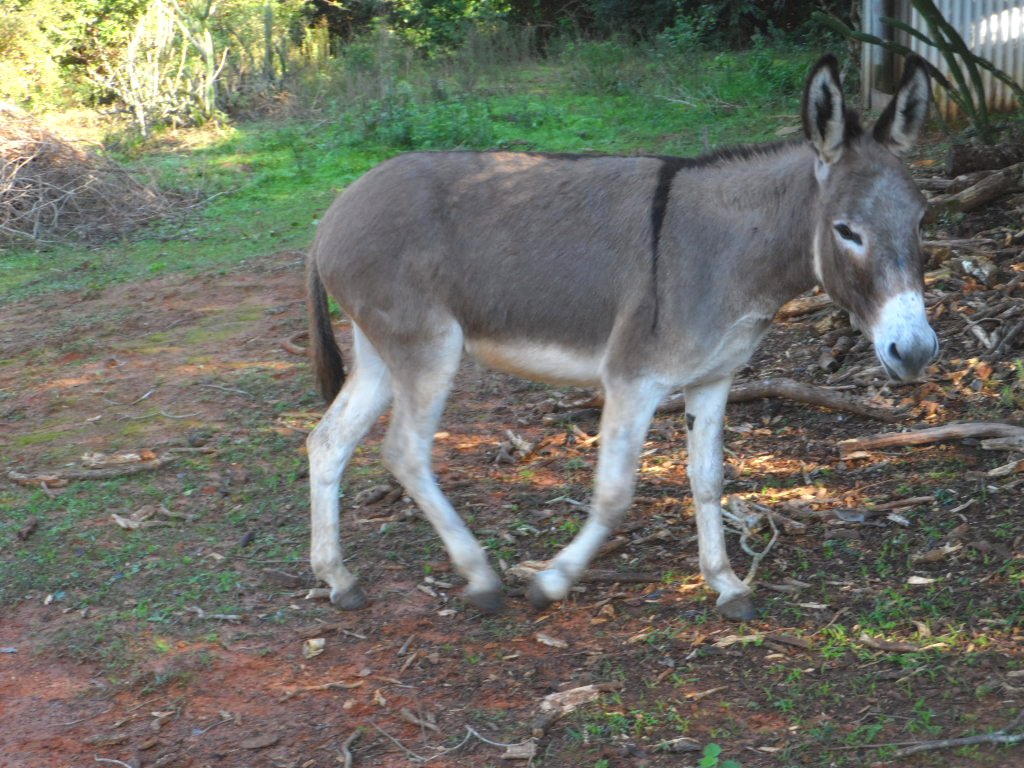 Warm und Wärmer in Paraguay