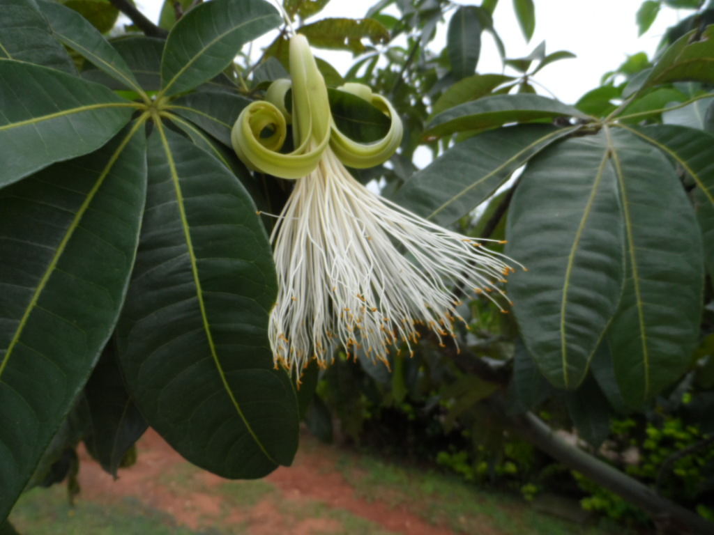 Warm und Wärmer in Paraguay