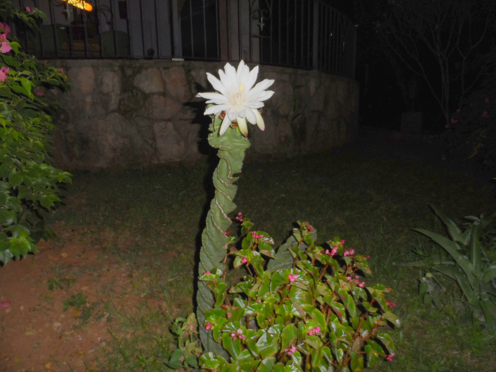 Warm und Wärmer in Paraguay