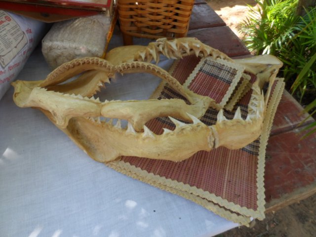 153 Aussteller, Rekord beim San Bernhardino Flohmarkt