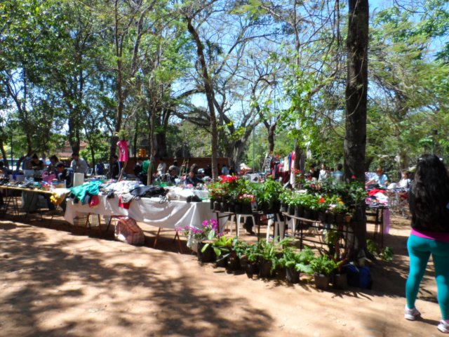 153 Aussteller, Rekord beim San Bernhardino Flohmarkt