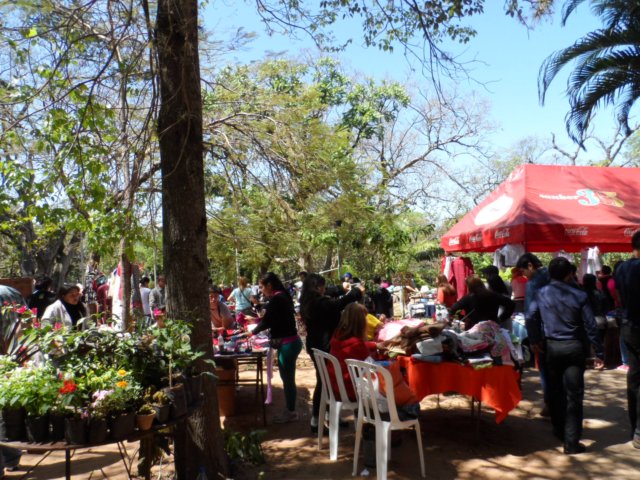 153 Aussteller, Rekord beim San Bernhardino Flohmarkt