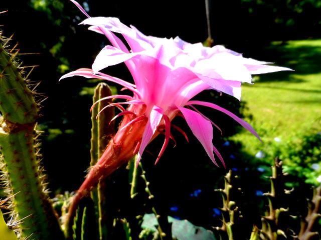 schon wieder Weihnachten und fast ein Neues Jahr