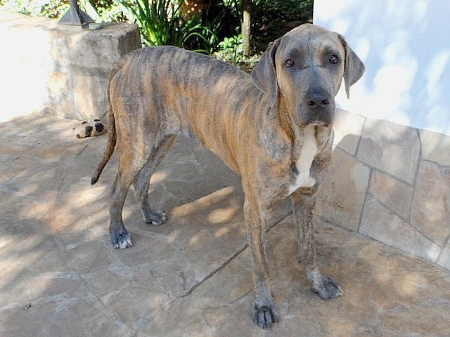 schon wieder Weihnachten und fast ein Neues Jahr