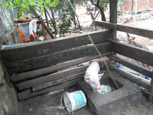 so, nun noch ein Junggesellengeburtstag