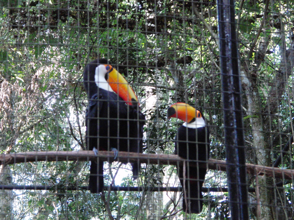 Ostern ist ja schon bald wieder