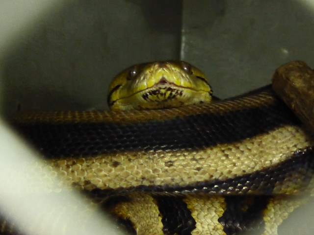 Herbst in Paraguay 2016