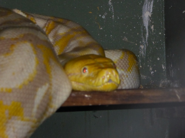 Herbst in Paraguay 2016