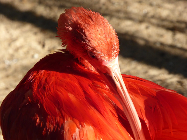 Herbst in Paraguay 2016