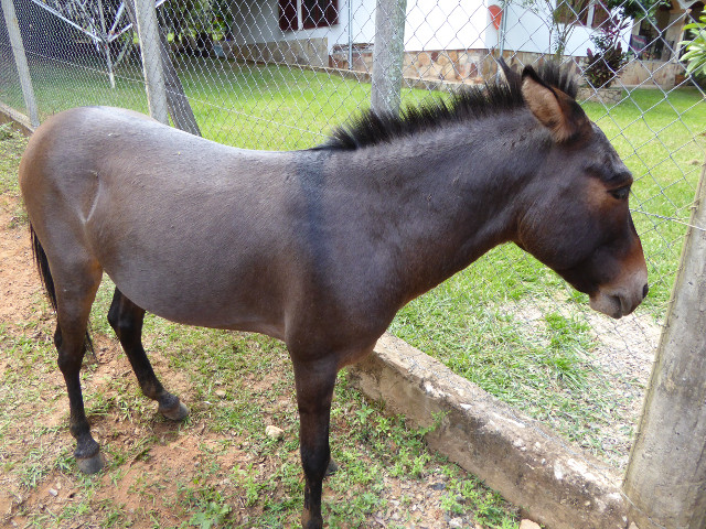 Herbst in Paraguay 2016