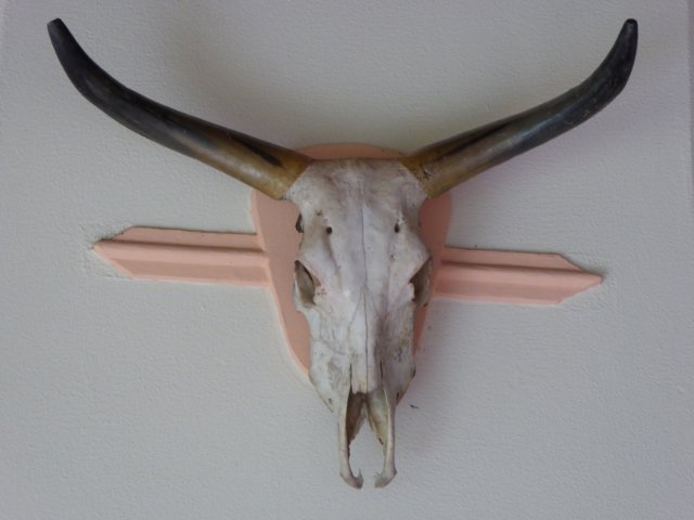 Herbst in Paraguay 2016