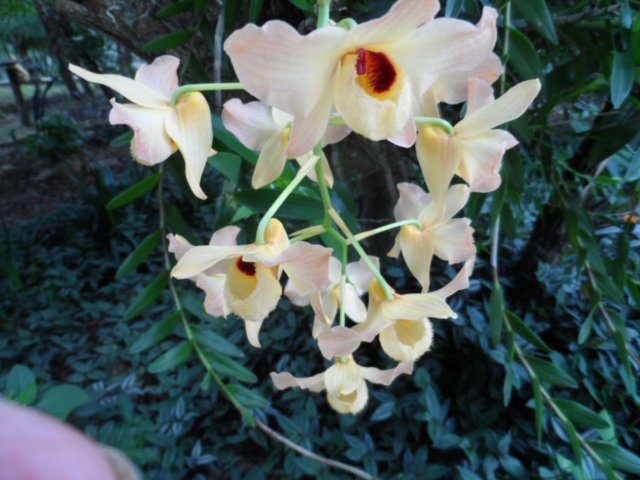 Ostern ist ja schon bald wieder