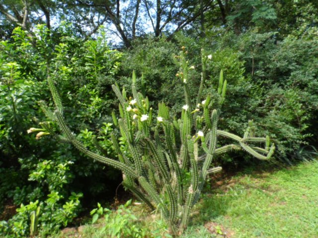 Ostern ist ja schon bald wieder