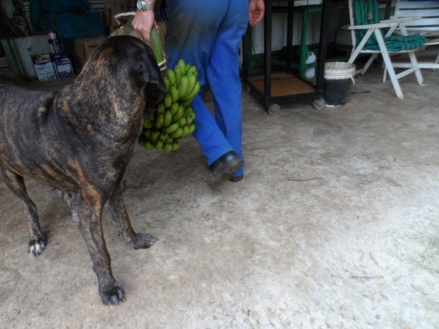Herbst 2016 in Paraguay