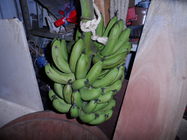 Herbst 2016 in Paraguay