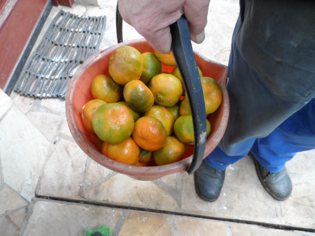 Herbst 2016 in Paraguay