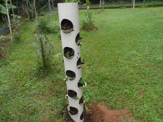 Herbst 2016 in Paraguay