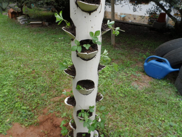 Herbst 2016 in Paraguay