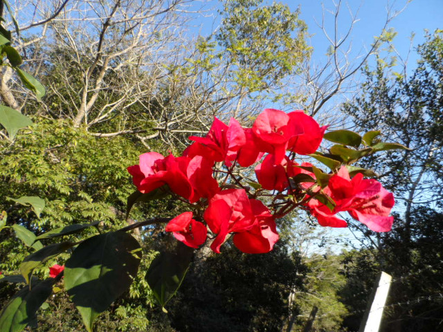 Winter in Paraguay Juni, Juli 2016