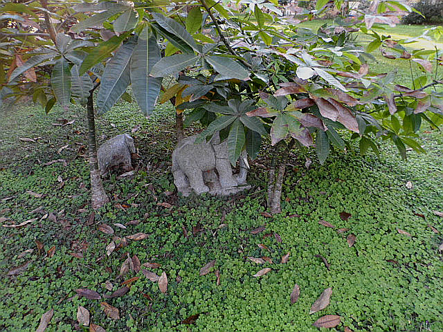 Winter in Paraguay Juni, Juli 2016