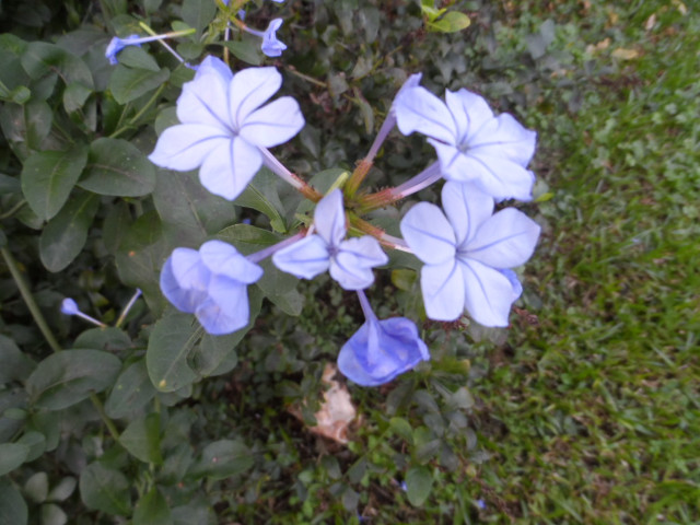 Winter in Paraguay Juni, Juli 2016