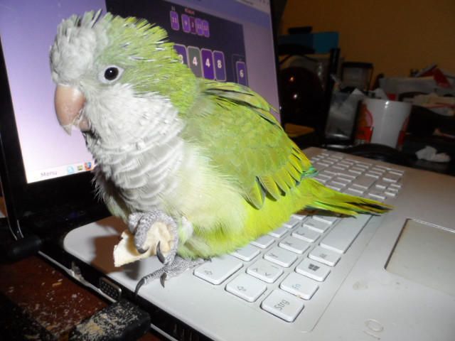 Winter in Paraguay Juni, Juli 2016