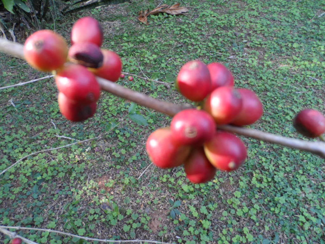 Winter in Paraguay Juni, Juli 2016