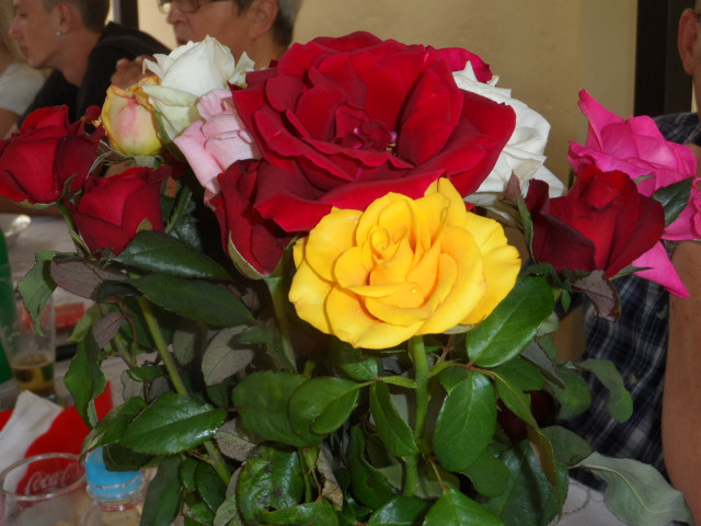 Geburtstag von Elisabeth