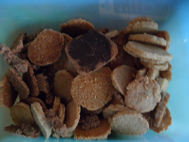 4. Advent in Paraguay