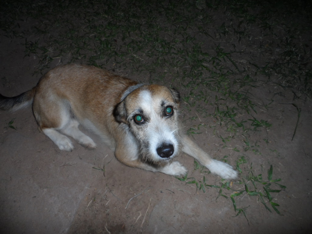 Weihnachtsbescherung für ca. 300 Kinder