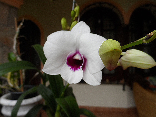 Herbst 2017 in Paraguay