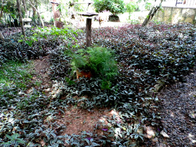 Herbst in Paraguay 22