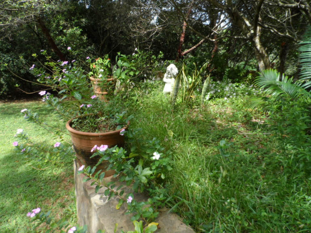 Herbst in Paraguay 23