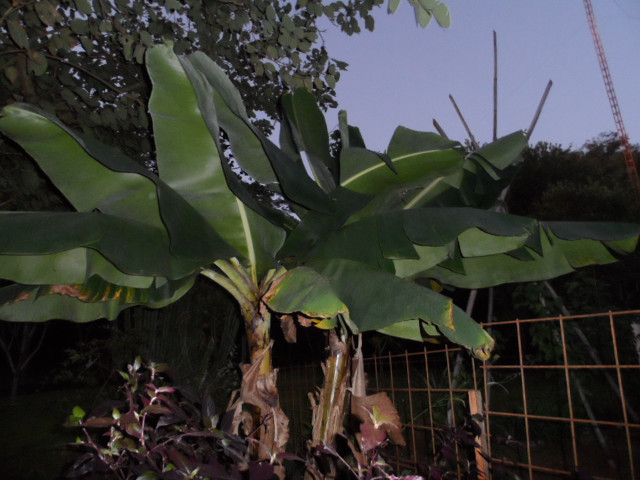 Herbstimpressionen 10