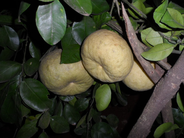 Herbstimpressionen 2