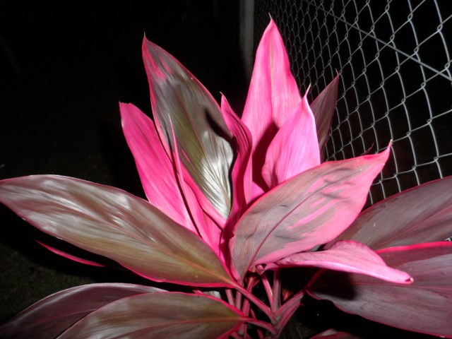 Herbstimpressionen 7