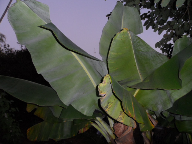 Herbstimpressionen 8