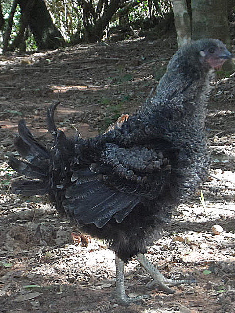 so schön kann der Herbst 2017 sein