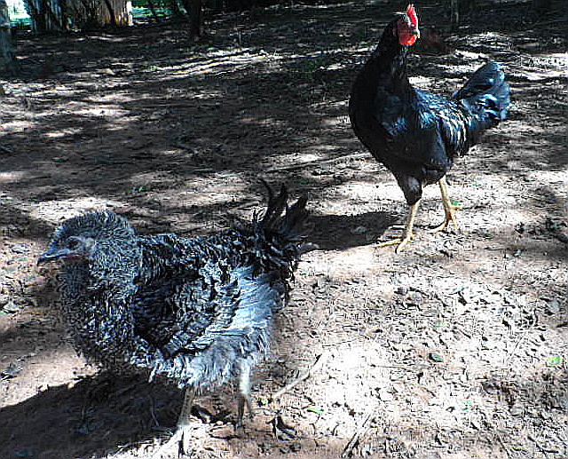 so schön kann der Herbst 2017 sein