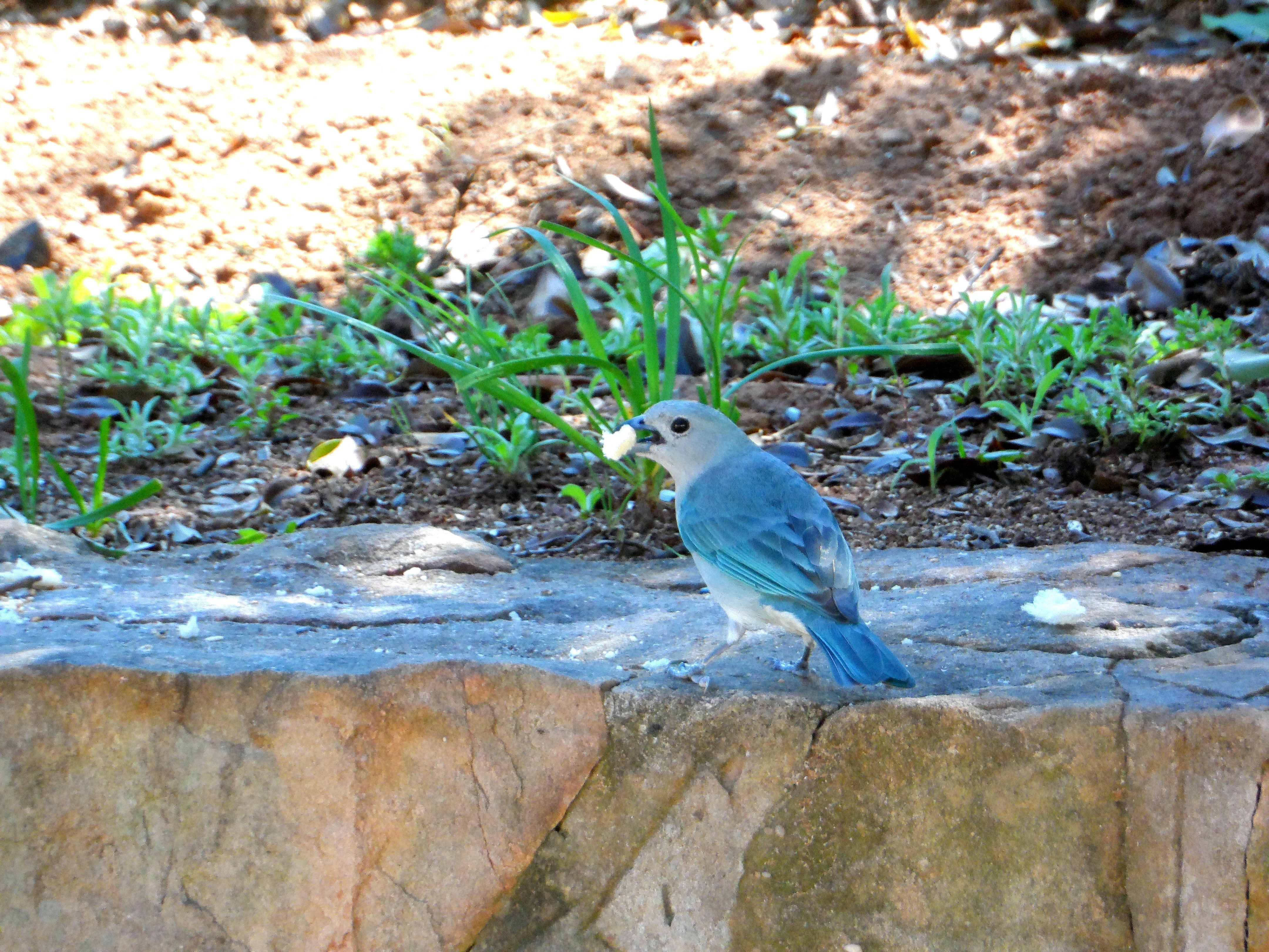 so schön kann der Herbst 2017 sein